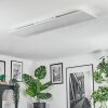 Orain Deckenpanel LED Weiß, 1-flammig