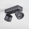 Narel Deckenleuchte LED Schwarz, 2-flammig