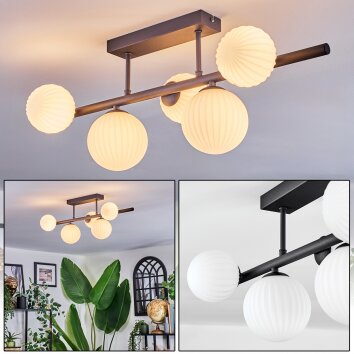 Chehalis Deckenleuchte Glas 10 cm, 12 cm Weiß, 5-flammig