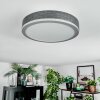 Salmi Deckenpanel LED Grau, Silber, 1-flammig