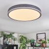 Salmi Deckenpanel LED Grau, Silber, 1-flammig