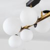 Chehalis Deckenleuchte Glas 10 cm, 12 cm, 15 cm Gold, Schwarz, 10-flammig