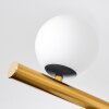 Chehalis Deckenleuchte Glas 10 cm, 12 cm, 15 cm Gold, Schwarz, 10-flammig