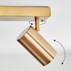 Javel Deckenleuchte Gold, 4-flammig