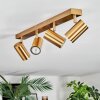 Javel Deckenleuchte Gold, 4-flammig