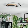Trapani Deckenleuchte LED Gold, Schwarz, 1-flammig, Fernbedienung