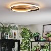 Trapani Deckenleuchte LED Gold, Schwarz, 1-flammig, Fernbedienung