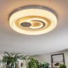Rarel Deckenleuchte LED Silber, Weiß, 1-flammig