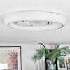 Rarel Deckenleuchte LED Silber, Weiß, 1-flammig