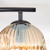 Ripoll Deckenleuchte Glas 15 cm Bernsteinfarben, Rauchfarben, 2-flammig
