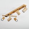 Javel Deckenleuchte Gold, 5-flammig