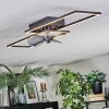 Hyacinthe Deckenventilator mit Beleuchtung LED Chrom, Schwarz, 1-flammig, Fernbedienung