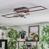 Hyacinthe Deckenventilator mit Beleuchtung LED Chrom, Schwarz, 1-flammig, Fernbedienung
