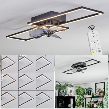 Hyacinthe Deckenventilator mit Beleuchtung LED Chrom, Schwarz, 1-flammig, Fernbedienung