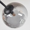 Chehalis Deckenleuchte Glas 15 cm Bernsteinfarben, Klar, Rauchfarben, 6-flammig