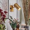 Javel Wandleuchte Gold, 1-flammig