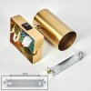 Javel Wandleuchte Gold, 1-flammig