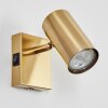 Javel Wandleuchte Gold, 1-flammig
