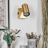 Javel Wandleuchte Gold, 1-flammig