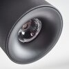 Narel Deckenleuchte LED Schwarz, 4-flammig