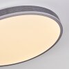 Salmi Deckenpanel LED Grau, Silber, 1-flammig, Fernbedienung