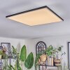 Barullu Deckenpanel LED Schwarz, Weiß, 1-flammig