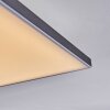 Barullu Deckenpanel LED Schwarz, Weiß, 1-flammig
