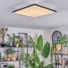 Barullu Deckenpanel LED Schwarz, Weiß, 1-flammig