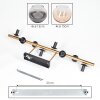 Koyoto Deckenleuchte Glas 15 cm Gold, Schwarz, 8-flammig