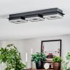 Walon Deckenleuchte LED Schwarz, 1-flammig