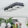 Walon Deckenleuchte LED Schwarz, 1-flammig