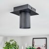 Udena Deckenleuchte LED Schwarz, 1-flammig