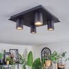Udena Deckenleuchte LED Schwarz, 4-flammig