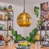 Koyoto Hängeleuchte Glas 30 cm Gold, 1-flammig