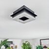 Walon Deckenleuchte LED Schwarz, 1-flammig