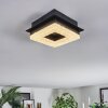 Walon Deckenleuchte LED Schwarz, 1-flammig