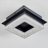 Walon Deckenleuchte LED Schwarz, 1-flammig