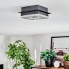 Walon Deckenleuchte LED Schwarz, 1-flammig