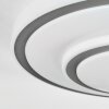 Borin Deckenleuchte LED Grau, Weiß, 1-flammig