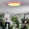 Zuren Deckenpanel LED Weiß, 1-flammig, Farbwechsler