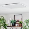 Zuren Deckenpanel LED Weiß, 1-flammig, Farbwechsler