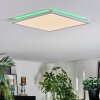 Zuren Deckenpanel LED Weiß, 1-flammig, Farbwechsler