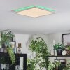 Zuren Deckenpanel LED Weiß, 1-flammig, Farbwechsler