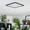 Zuren Deckenpanel LED Schwarz, 1-flammig, Farbwechsler