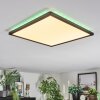 Zuren Deckenpanel LED Schwarz, 1-flammig, Farbwechsler