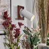 Dalan Wandleuchte LED Naturfarben, Weiß, 1-flammig