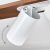 Dalan Deckenleuchte LED Naturfarben, Weiß, 2-flammig
