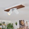 Dalan Deckenleuchte LED Naturfarben, Weiß, 2-flammig
