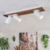 Dalan Deckenleuchte LED Naturfarben, Weiß, 3-flammig
