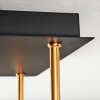 Gastor Deckenleuchte Glas 15 cm Gold, Schwarz, 5-flammig